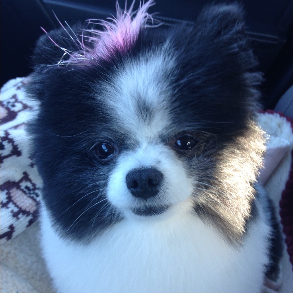 Meet your Posher, Christine